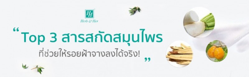Top 3 สารสกัดสมุนไพร ที่ช่วยให้รอยฝ้าจางลงได้จริง!